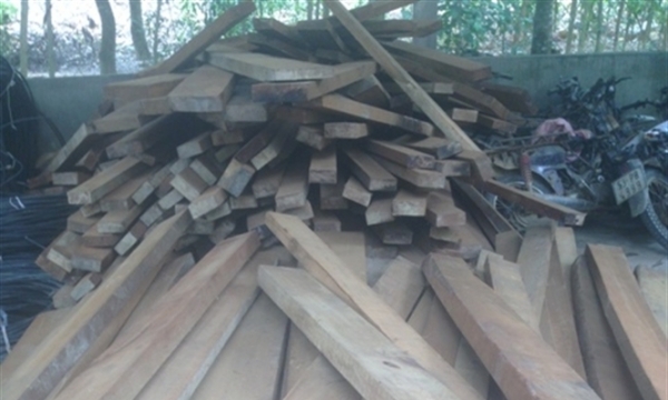 Bắt 4,2 khối gỗ lậu tại xưởng gỗ của em trai Chủ tịch xã